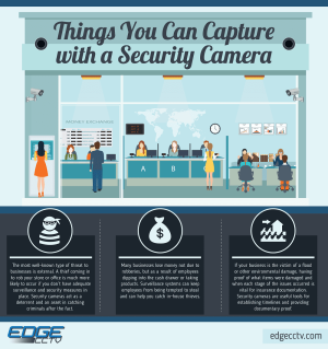 Things You Can Capture with a Security Camera